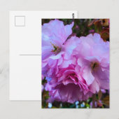 ピンクさくらんぼ花 ポストカード (正面/裏面)