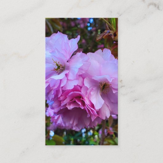 ピンクさくらんぼ花 名刺 (正面)