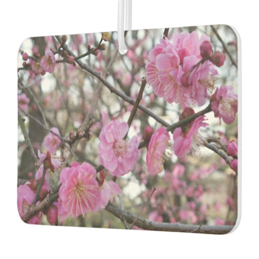 ピンクさくらんぼ花/桜/サクラ(桜) カーエアーフレッシュナー (左)