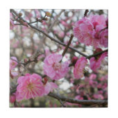 ピンクさくらんぼ花/桜/サクラ(桜) タイル (正面)