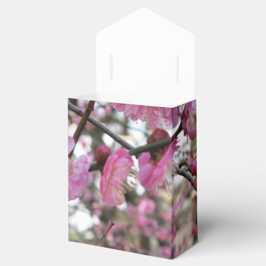 ピンクさくらんぼ花/桜/サクラ(桜) フェイバーボックス (オープン)