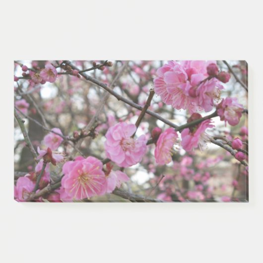 ピンクさくらんぼ花/桜/サクラ(桜) ポストイット (正面)