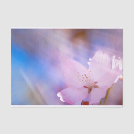 ピンクさくらんぼ花 薄葉紙 (正面)
