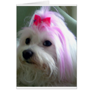 ピンクでかわいらしい