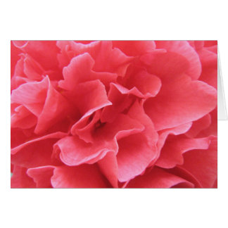 ピンクでかわいらしい