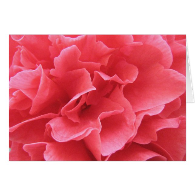 ピンクでかわいらしい (正面横)