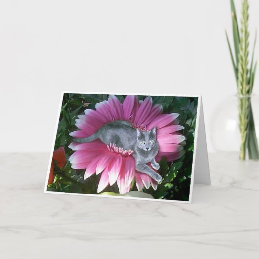 ピンクでかわいらしい カード (正面)