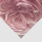 ピンクでかわいらしい 薄葉紙 (詳細)