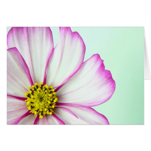 ピンクでトリミング (正面横)