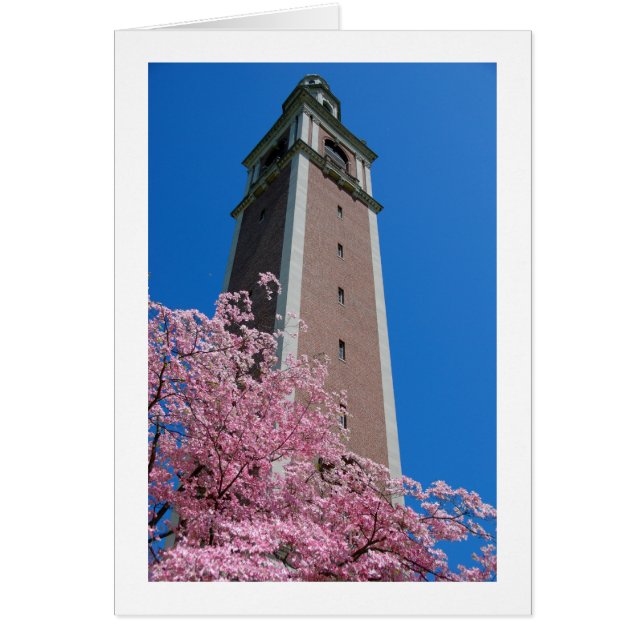 ピンクで基づく (正面)