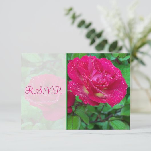 ピンクとイエローのバラの結婚式返信カード 招待状 (スタンド正面)