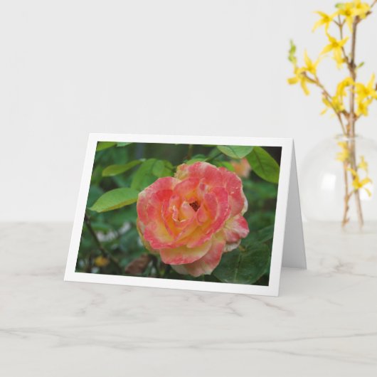 ピンクとイエローの花のバラの肖像 カード (黄色い花)