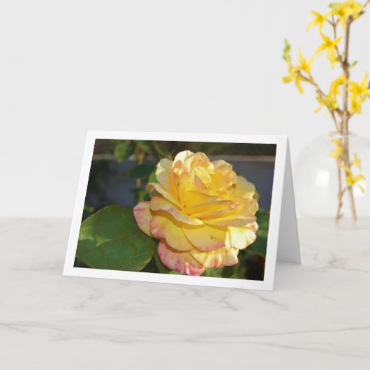ピンクとイエローの花のバラ カード (黄色い花)