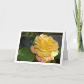 ピンクとイエローの花のローズ カード (正面)