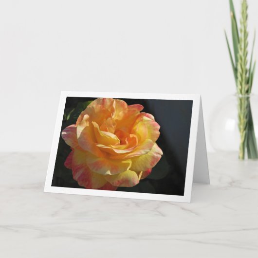 ピンクとイエローの花のローズ カード (正面)