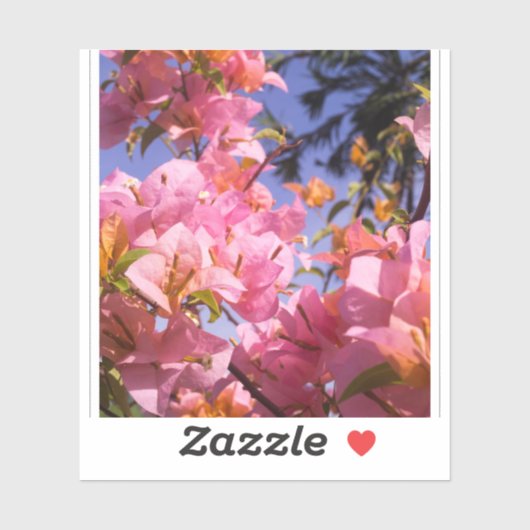 ピンクとオレンジのブーゲンビリアの花のミックス シール (シート)