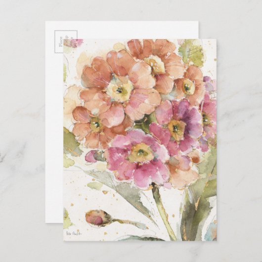 ピンクとオレンジのプリムローズ ポストカード (正面/裏面)