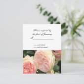 ピンクとクリームのバラの返信カード 出欠カード (スタンド正面)