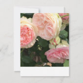 ピンクとクリームのバラの返信カード 出欠カード (裏面)