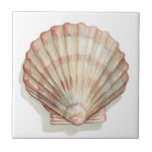 ピンクとクリームシーシェル タイル<br><div class="desc">Megan Meagherは美しい絵を描海コレクションの写真を愛している。彼女は海の生活の中で最も自然で美しい自然の提供をキャプチャする。このクラシックとシンプル絵画は、美しいクリームとピンクの貝殻のシンプルさを捉えている。今すぐこのアート素晴らしプリントを取得して、シェルコレクションに追加する。</div>