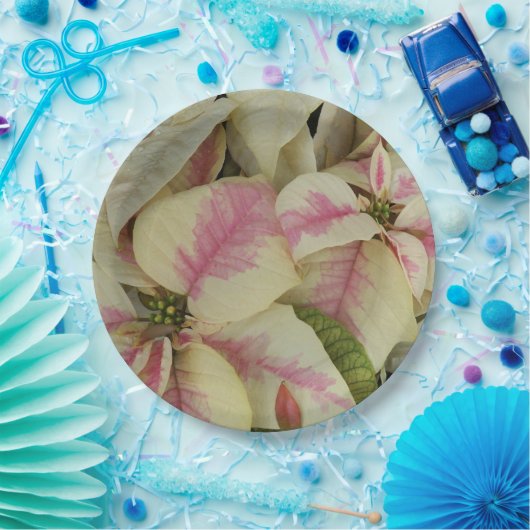 ピンクとクリームポインセティアスフローラ ペーパープレート (パーティー)