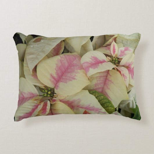 ピンクとクリーム大理石ポインセティアスフローラ アクセントクッション (正面)