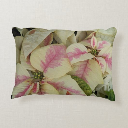 ピンクとクリーム大理石ポインセティアスフローラ アクセントクッション (裏面)