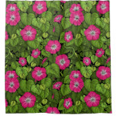 ピンクとグリーンの朝顔 シャワーカーテン (正面)