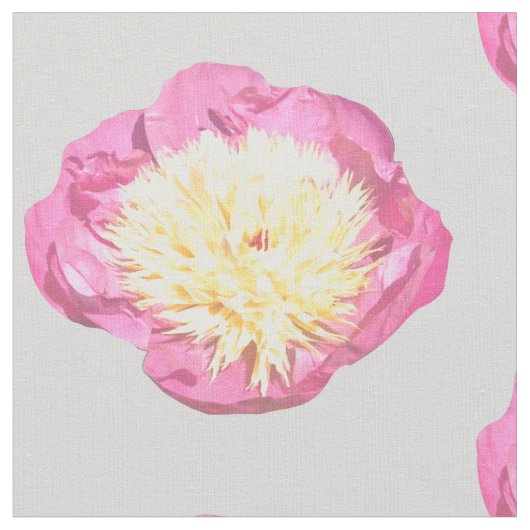 ピンクとグレーの美しいの花の牡丹鉢 ファブリック (クローズアップ)