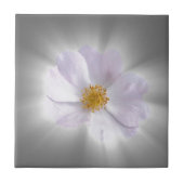 ピンクとグレー タイル (正面)