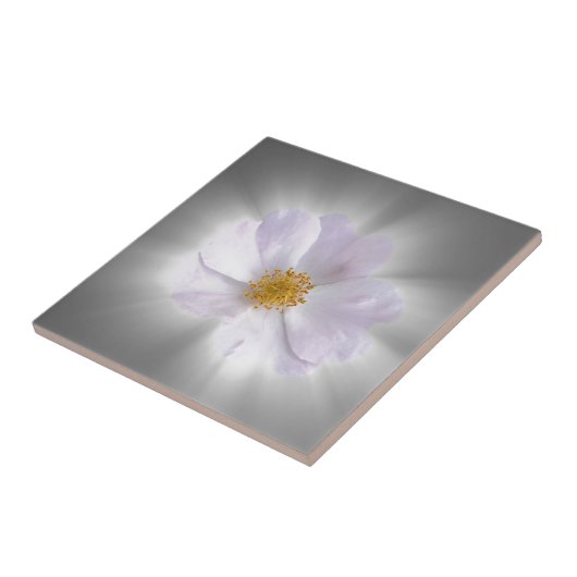 ピンクとグレー タイル (側面)