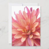 ピンクとコーラルのダリアの絵のウェディングシャワーの招待状 招待状 (裏面)