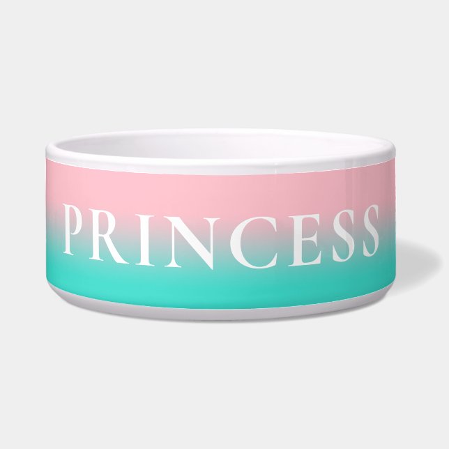 ピンクとターコイズのオンブレ ボウル (正面)