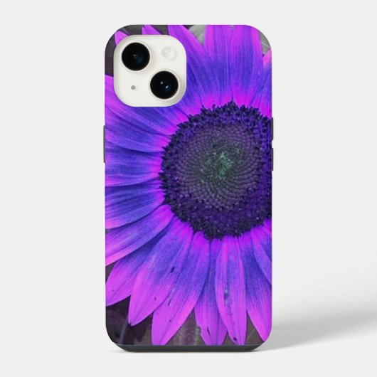 ピンクとパープルのひまわり  iPhoneケース (裏面)