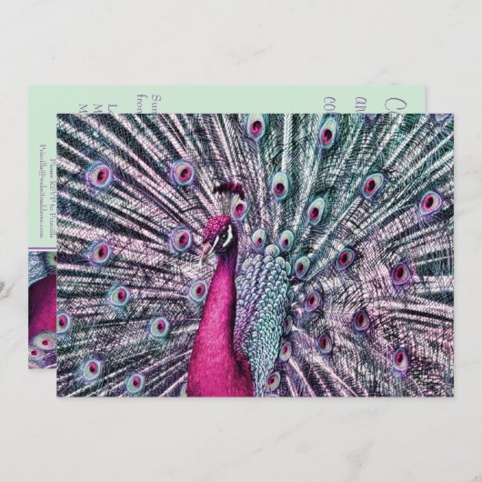 ピンクとパープルファンタジーピーコックパーティの招待状 招待状 (正面/裏面)