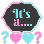 ピンクとブルーのジェンダーが赤ちゃんシャワーを明らかにする シール (正面)