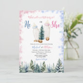 ピンクとブルーのベビーボトル彼または彼女が明かす 招待状 (スタンド正面)