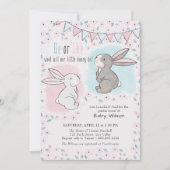ピンクとブルーの小さなバニーの性別を明かす 招待状 (正面)