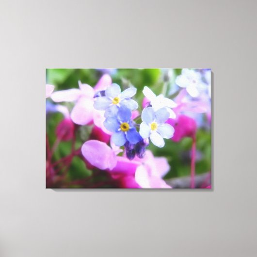 ピンクとブルーの春の花 キャンバスプリント (正面)