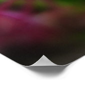 ピンクとブルーの春の花 ポスター (角)