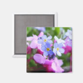 ピンクとブルーの春の花 マグネット (正面/裏面)