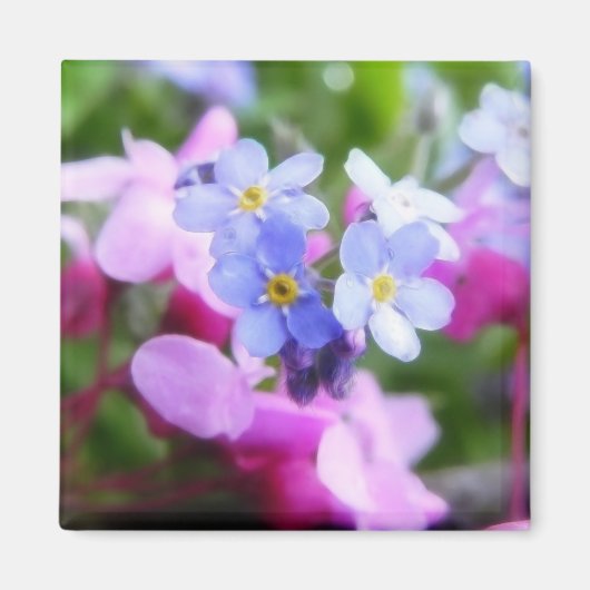 ピンクとブルーの春の花 マグネット (正面)