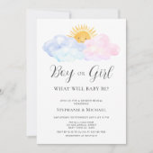 ピンクとブルーの水彩性別の表示 招待状 (正面)