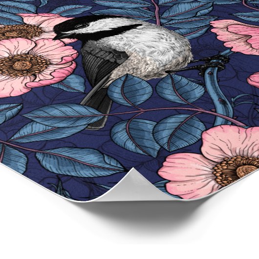 ピンクとブルーの野生のバラの《鳥》アメリカゴガラ ポスター (角)