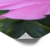 ピンクとプライド ポスター (角)