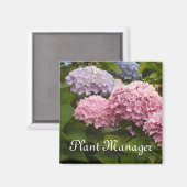 ピンクとメイヴアジサイ マグネット (正面/裏面)