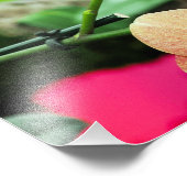 ピンクと桃の蘭の写真プリント フォトプリント            (角)