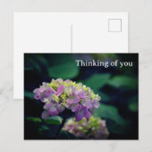 ピンクと白のあじさいが考えの花 ポストカード (正面/裏面)