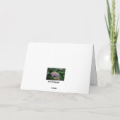 ピンクと白のあじさい花と悔やみや弔慰 カード (裏面)