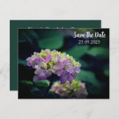 ピンクと白のあじさい花デートを保存 シーズンカード (正面/裏面)